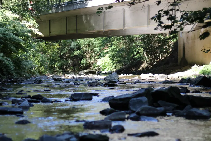 Fluss, Wasser · Leiben · 04.09.2026