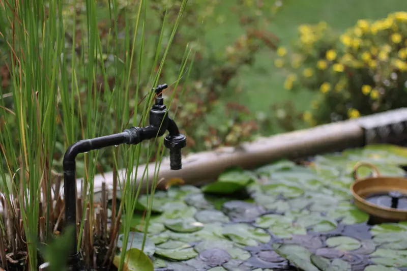 Nässe, Wasser · Leiben · 09.09.2026