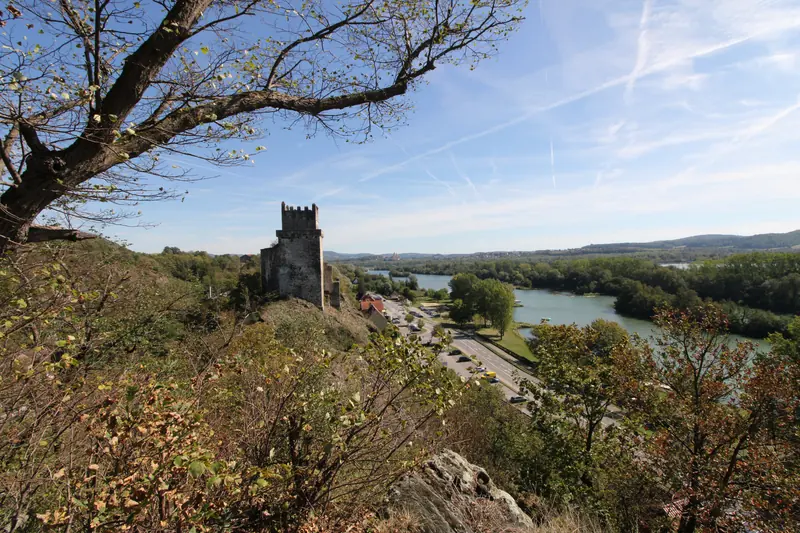 Baum, Donau, Gebäude, Wasser · Weitenegg · 20.09.2026