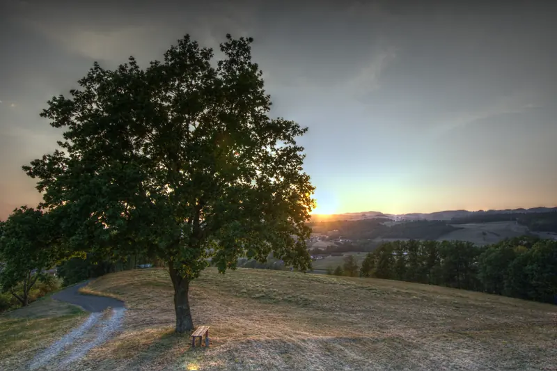 Baum, HDR, Landschaft, Sonnenuntergang · Leiben · 04.08.2026