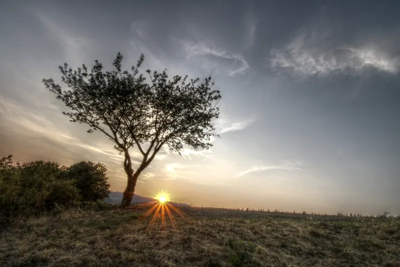 Baum, HDR, Landschaft, Sonnenuntergang · Leiben · 04.08.2026