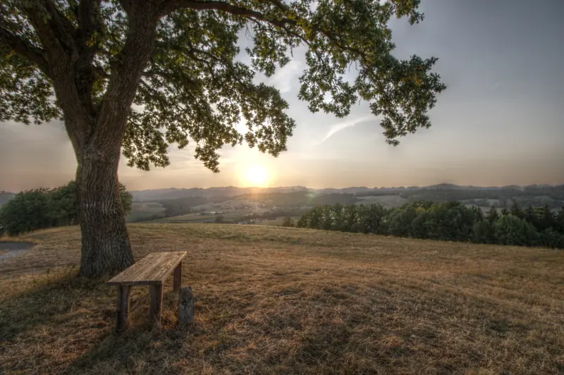 Baum, HDR, Landschaft, Sonnenuntergang · Leiben · 04.08.2026